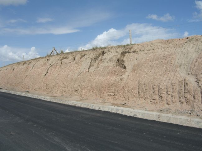  2006:09:12 23:18:09   Ice Wedge Casts in Road Cut on the way to Tianjun - photo 1.jpg